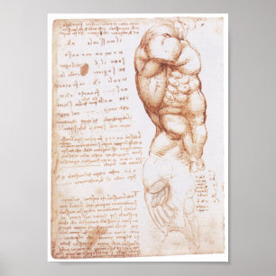 Muskeln des Torso, Leonarod da Vinci Poster