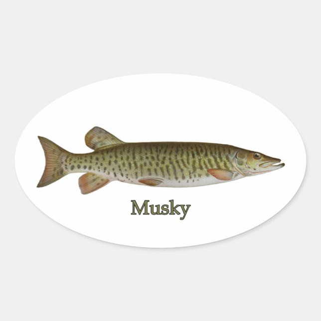 Muskeln (Muskellunge) Ovaler Aufkleber (Vorderseite)