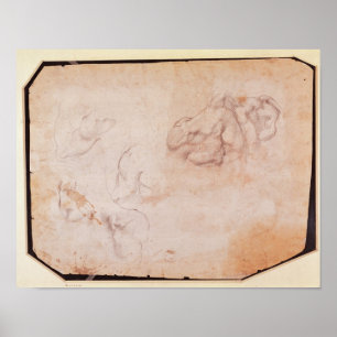 Muskeluntersuchung Poster