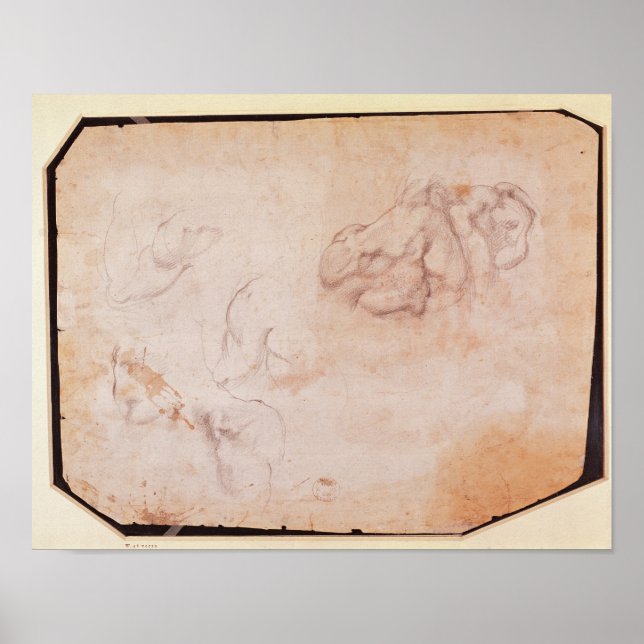 Muskeluntersuchung Poster (Vorne)