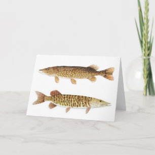 Muskie & Pike Card Karte