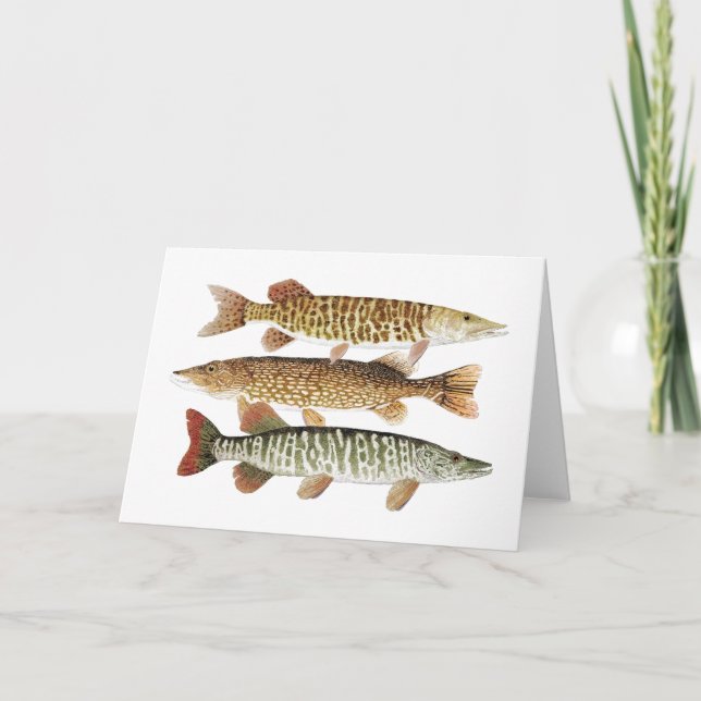 Muskie, Pike u. Tiger Karte (Vorderseite)