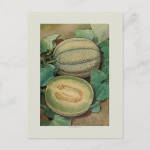 Muskmellon Postkarte