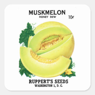 Muskmelon (Honigtaube) Etikett für Saatpackungen Quadratischer Aufkleber