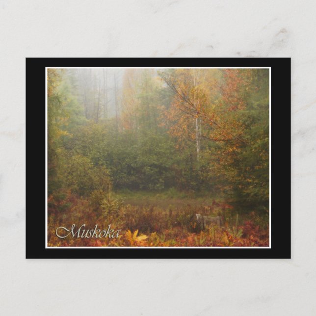 Muskoka Herbst Postkarte (Vorderseite)