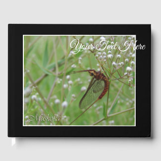 Muskoka Shadfly (weiße Blume) Gästebuch