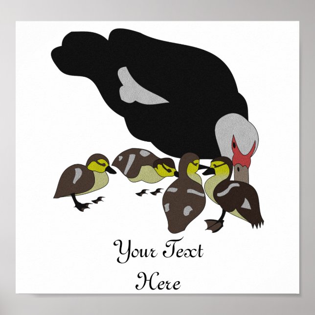 Muskovy Duck and Adorable Duckling Poster (Vorne)
