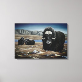 Muskox Malerei kanadische Wildtiere Canvas Print Leinwanddruck
