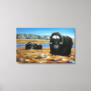 Muskox Malerei kanadische Wildtiere Canvas Print Leinwanddruck