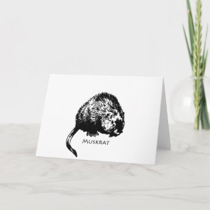 Muskrat (Abbildung) Karte