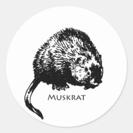 Muskrat (Abbildung) Runder Aufkleber