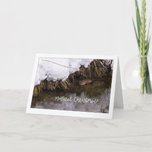 Muskrat Christmas Quirky Feiertagskarte