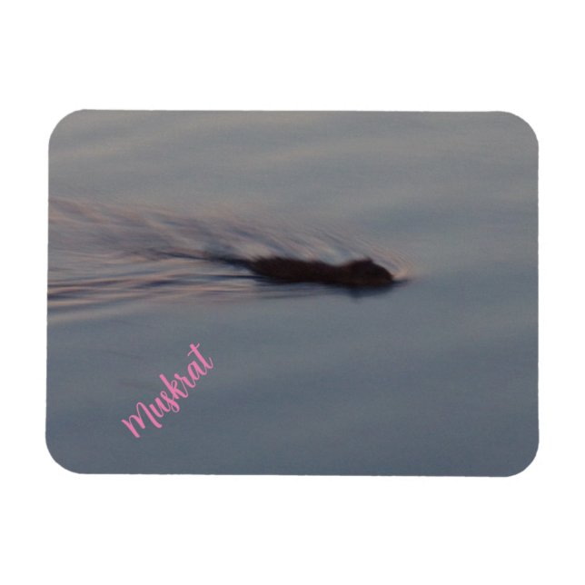 Muskrat in Minnesota Flexible Magnet (Horizontal)