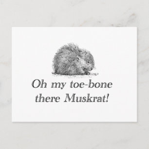 Muskrat   Postkarte