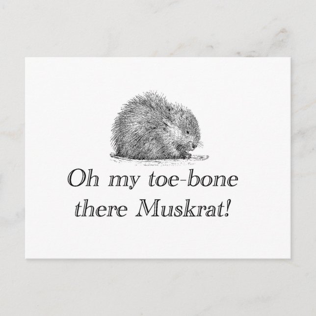 Muskrat | Postkarte (Vorderseite)
