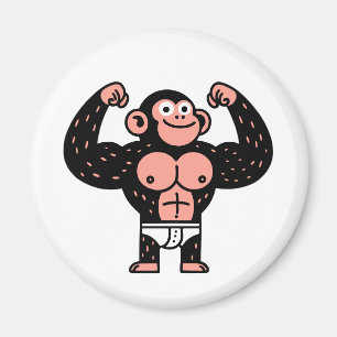 Muskulatur Magnet