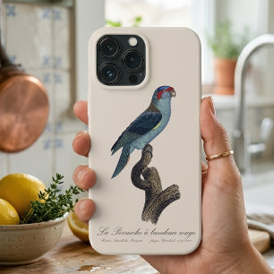 Muskuslorikit, Trichoglossus concinnus Case-Mate iPhone Hülle
