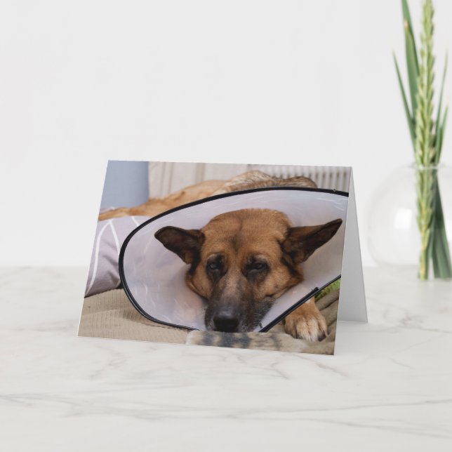 "Muss ich dieses tragen? " Karte (Vorderseite)