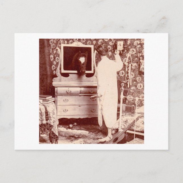 Muss in der letzten Nacht ein Jackass gewesen sein Postkarte (Vorderseite)