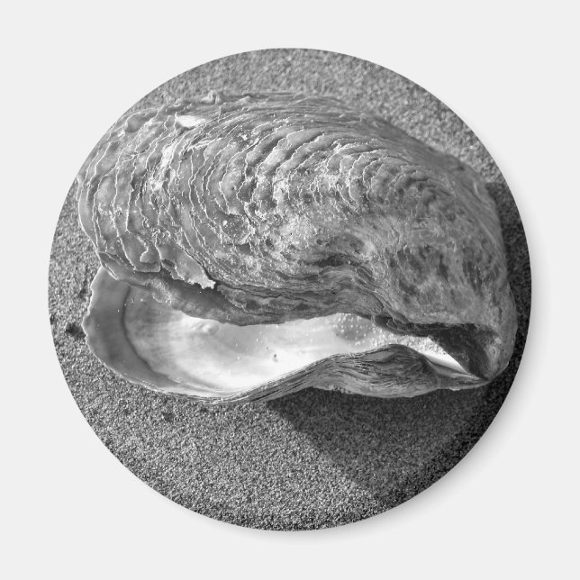 Mussel Seashell Sand Beach Magnet (Vorne)