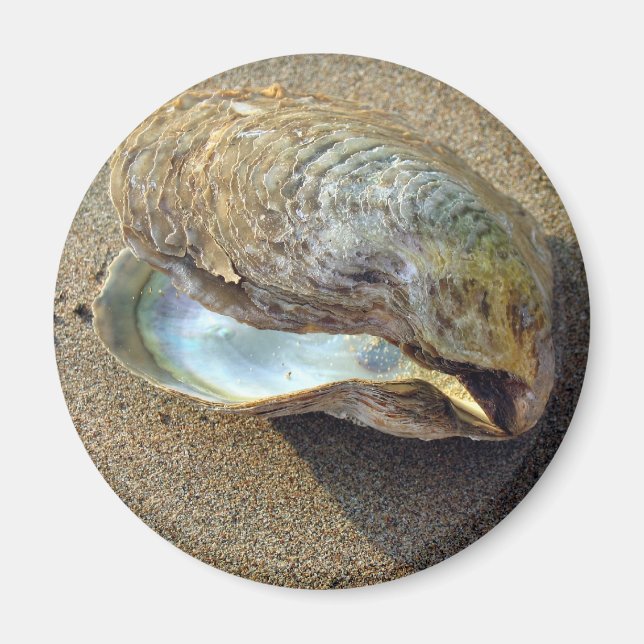 Mussel Seashell Sand Beach Magnet (Vorne)