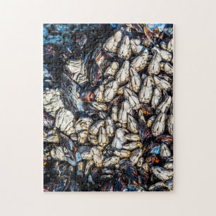 Mussels and gooseneck barnacles - Tofino, BC. Puzzle