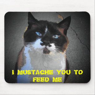 MUSTACHE CAT IST HUNGRY Meme "Füttre Me" Mousepad