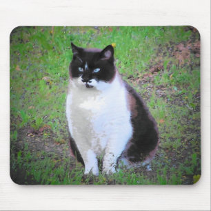 MUSTACHE CAT SCHAUT. MOUSEPAD