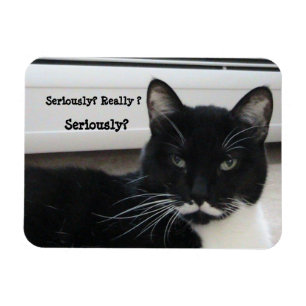 Mustache Tuxedo Cat (ernsthaft?) Magnet