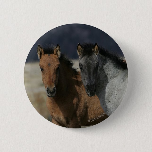 Mustang-FohlenHeadshot Button (Vorderseite)