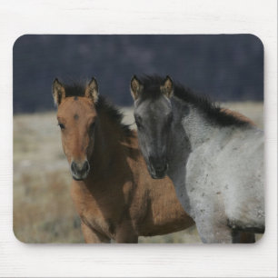 Mustang-FohlenHeadshot Mousepad