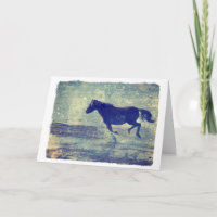 Mustang Gallop am Strand, Geburtstag
