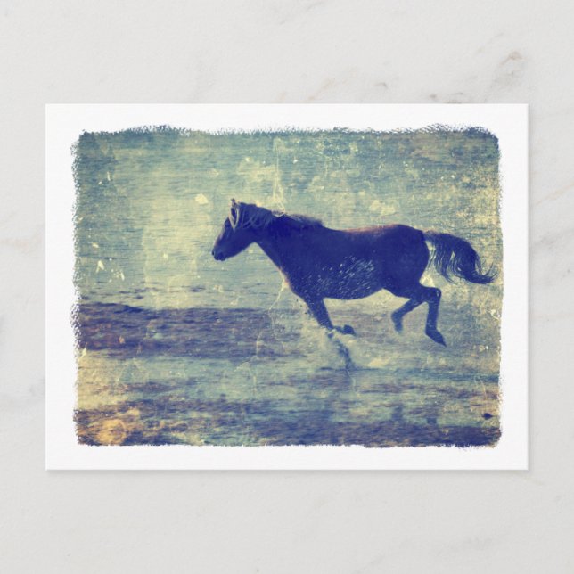 Mustang Gallops on Beach Postkarte (Vorderseite)