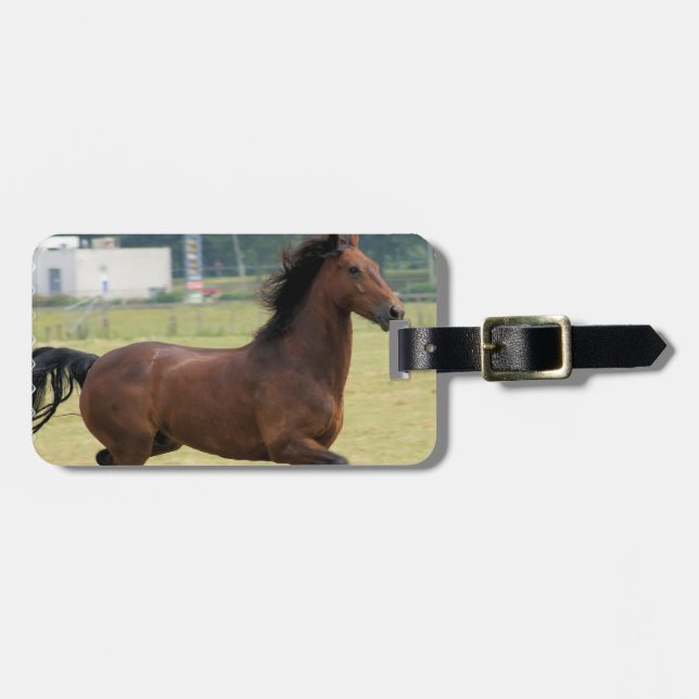Mustang-galoppierender Gepäckanhänger (Vorderseite horizontal)