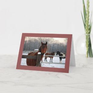 Mustang Holiday Card Feiertagskarte