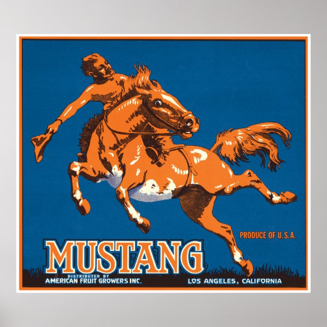 Mustang Horse Cowboy Los Angeles California USA Poster (Vorne)