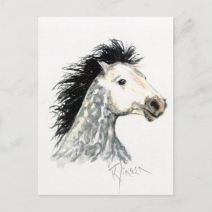 Mustang Horse Postcard Postkarte