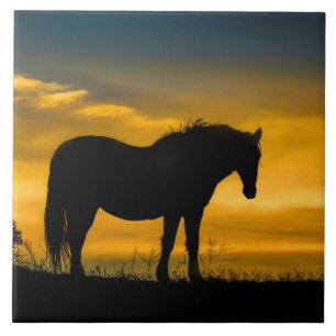 Mustang in Sunset Art Tile Fliese