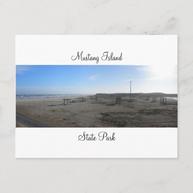 Mustang Island Staat Park Postcard Postkarte (Vorderseite)