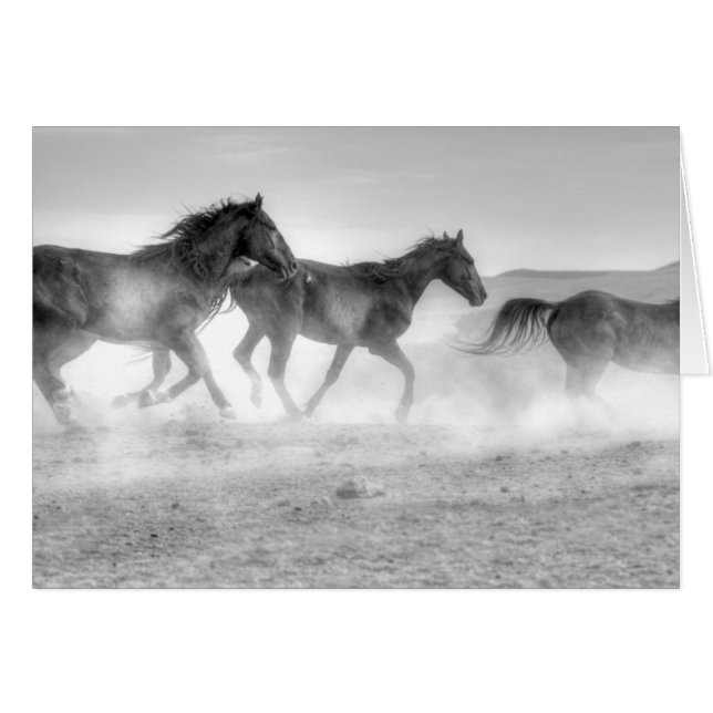 Mustang-Lauf (Vorderseite (Horizontal))