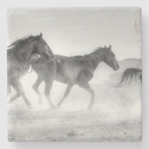 Mustang-Lauf Steinuntersetzer