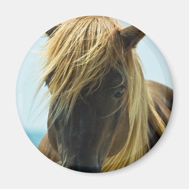 Mustang Magnet (Vorne)
