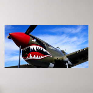 MUSTANG P-51 KAMPF POSTER