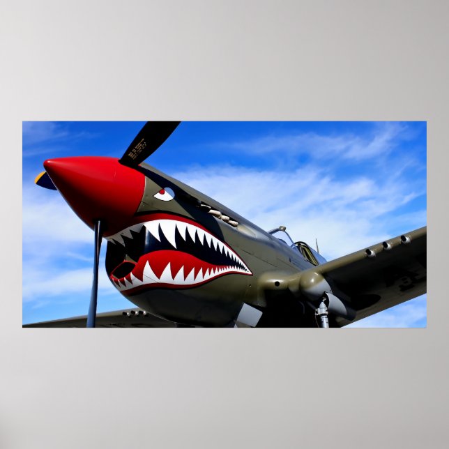 MUSTANG P-51 KAMPF POSTER (Vorne)