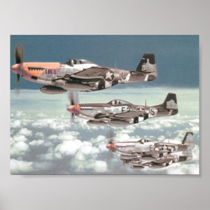 Mustang-Patrouille Poster