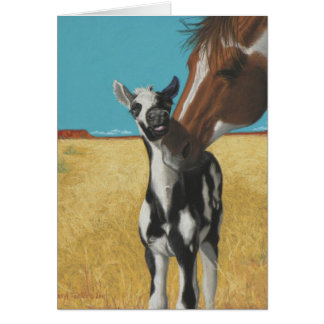 Mustang, Pferd