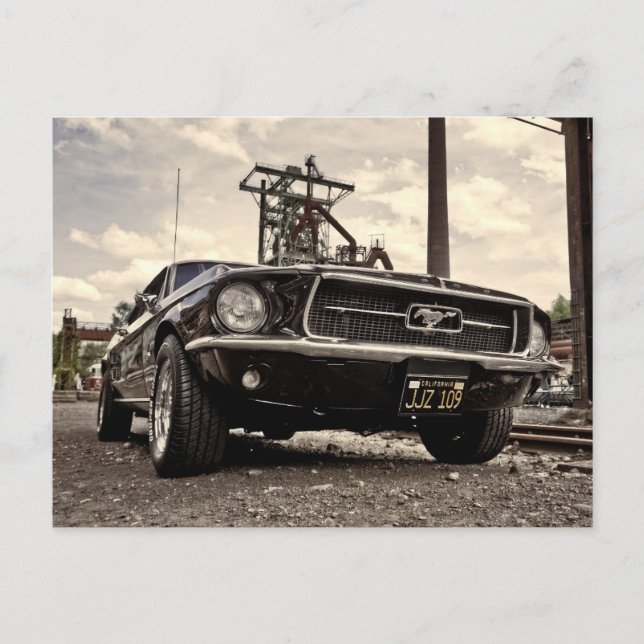 Mustang Postkarte (Vorderseite)