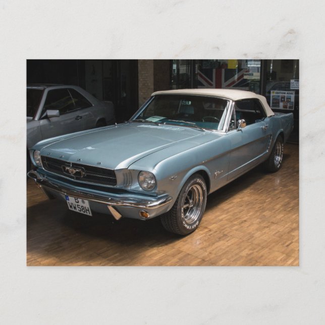 Mustang Postkarte (Vorderseite)