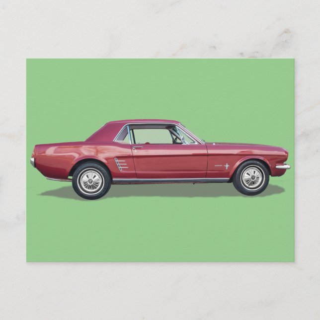 Mustang Postkarte (Vorderseite)
