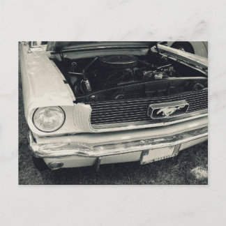 Mustang Postkarte